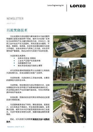 污泥焚烧技术