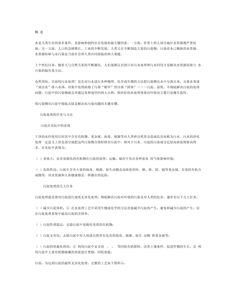 污泥的深度处理_第1页