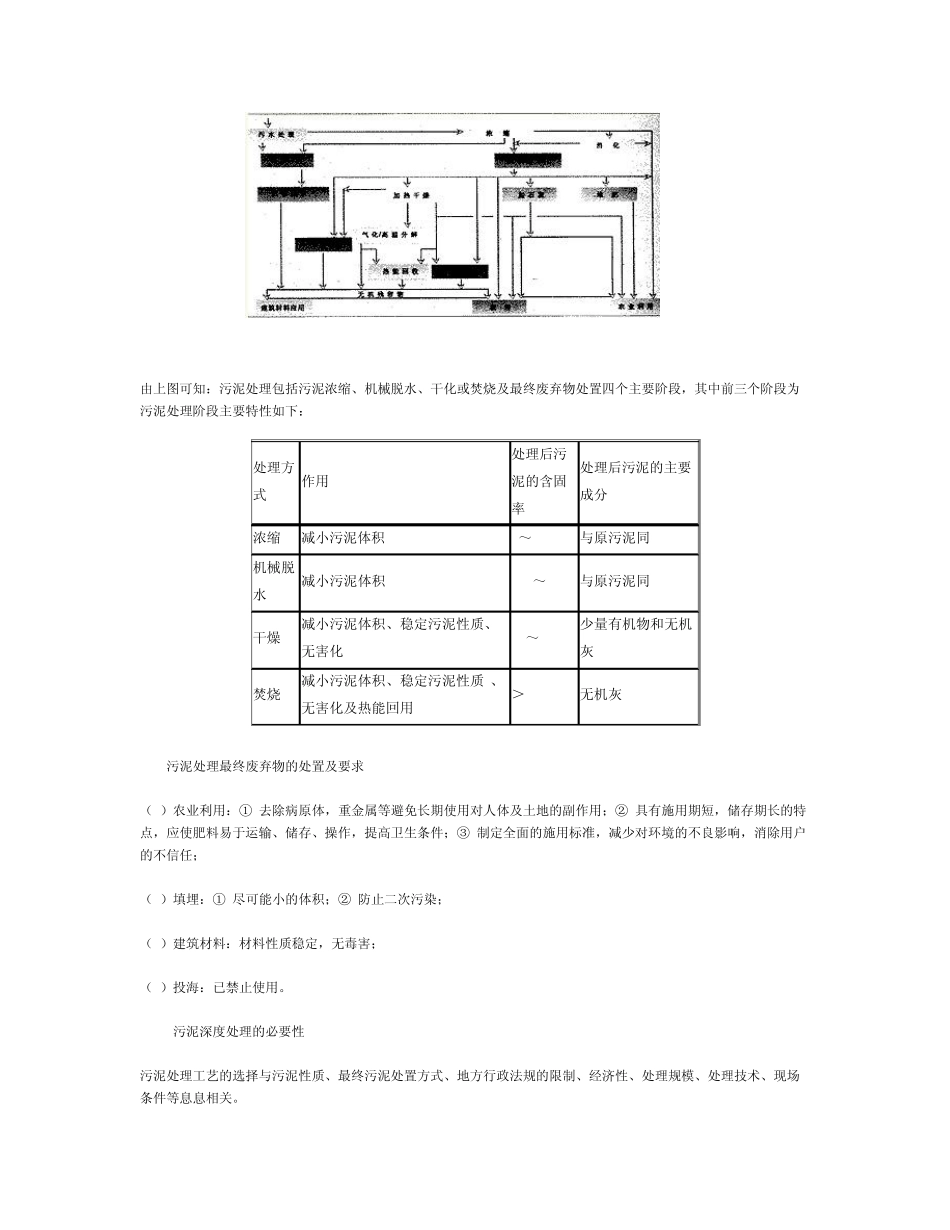 污泥的深度处理_第2页