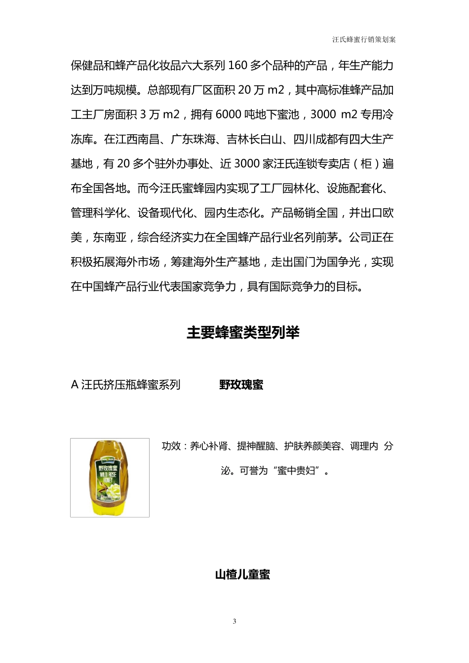汪氏蜂蜜品牌定位分析_第3页