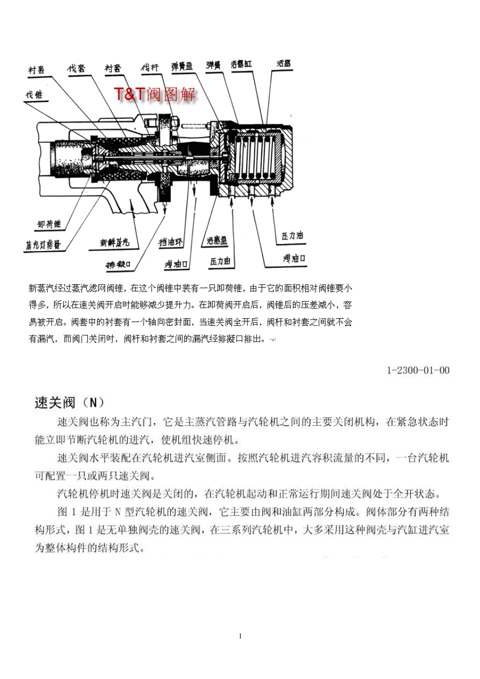 汽轮机调速系统及真空系统关键部件图解_第1页