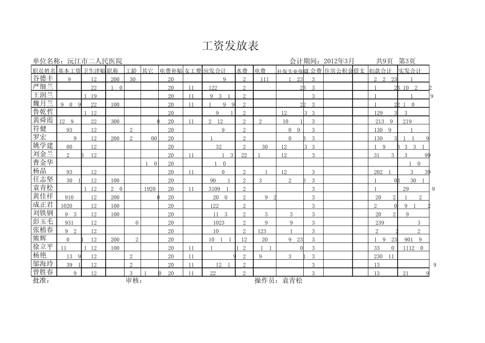 沅江市二医院三月份工资表_第3页