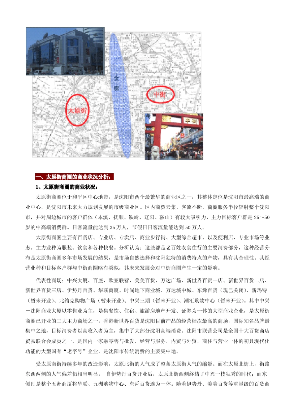 沈阳商业市场调研报告1_第3页