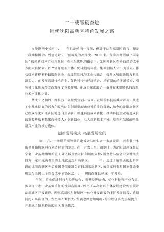 沈阳高新区20年