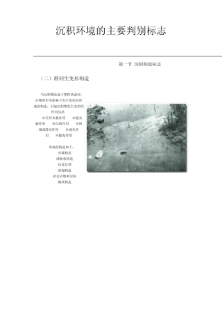 沉积环境的主要判别标志