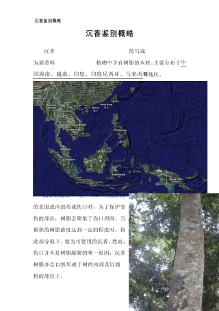 沉香品质鉴别