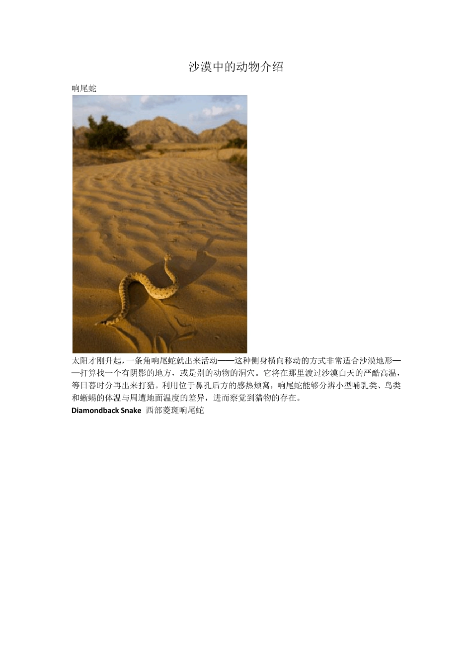 沙漠中的动物介绍_第1页