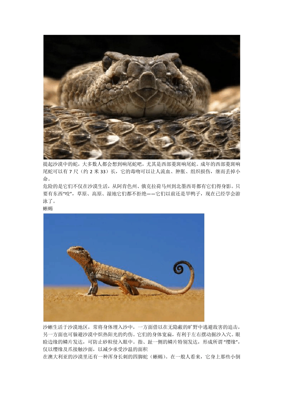 沙漠中的动物介绍_第2页