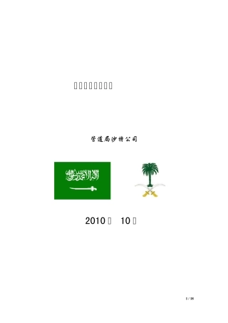 沙特市场调研汇报
