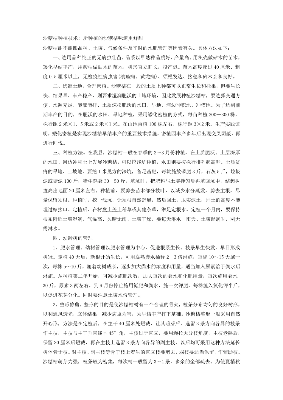 沙糖桔种植技术_第1页