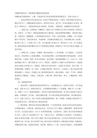 沙糖桔种植技术