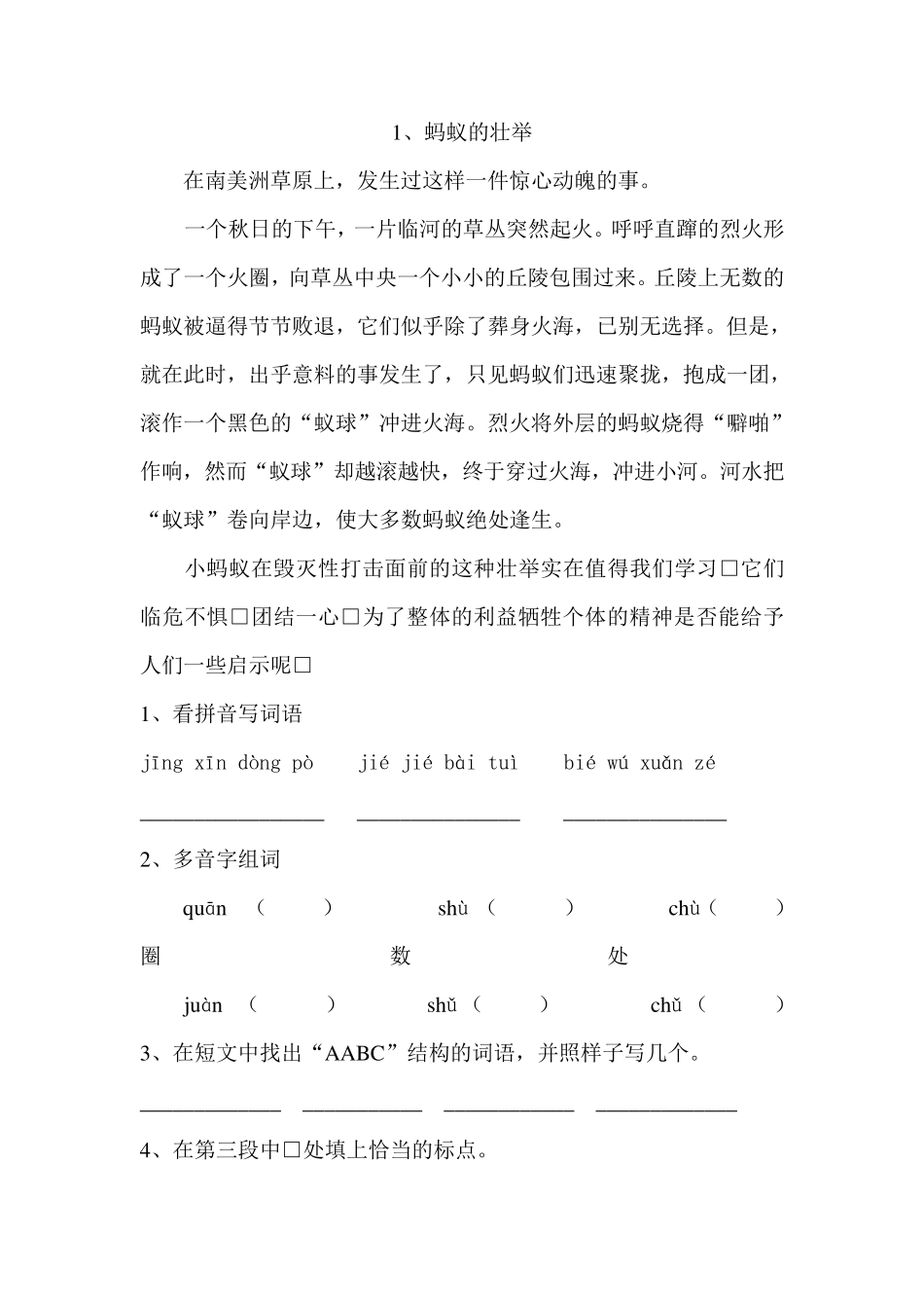 沪教版语文四年级阅读专项训练_第1页