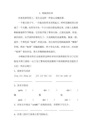 沪教版语文四年级阅读专项训练