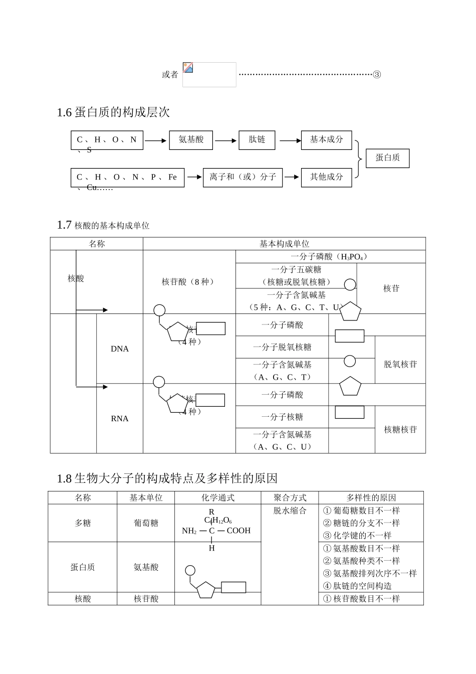 2025年高中生物知识点总结全附图_第3页