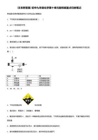 2025年初中九年级化学第十单元酸和碱重点归纳笔记