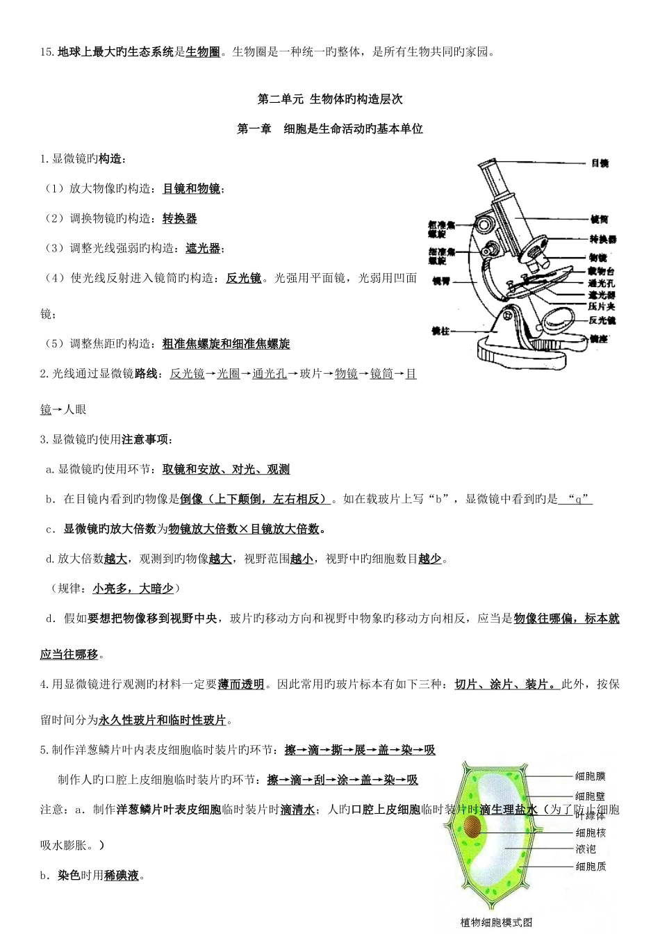 2025年七年级上册生物知识点归纳填空_第3页