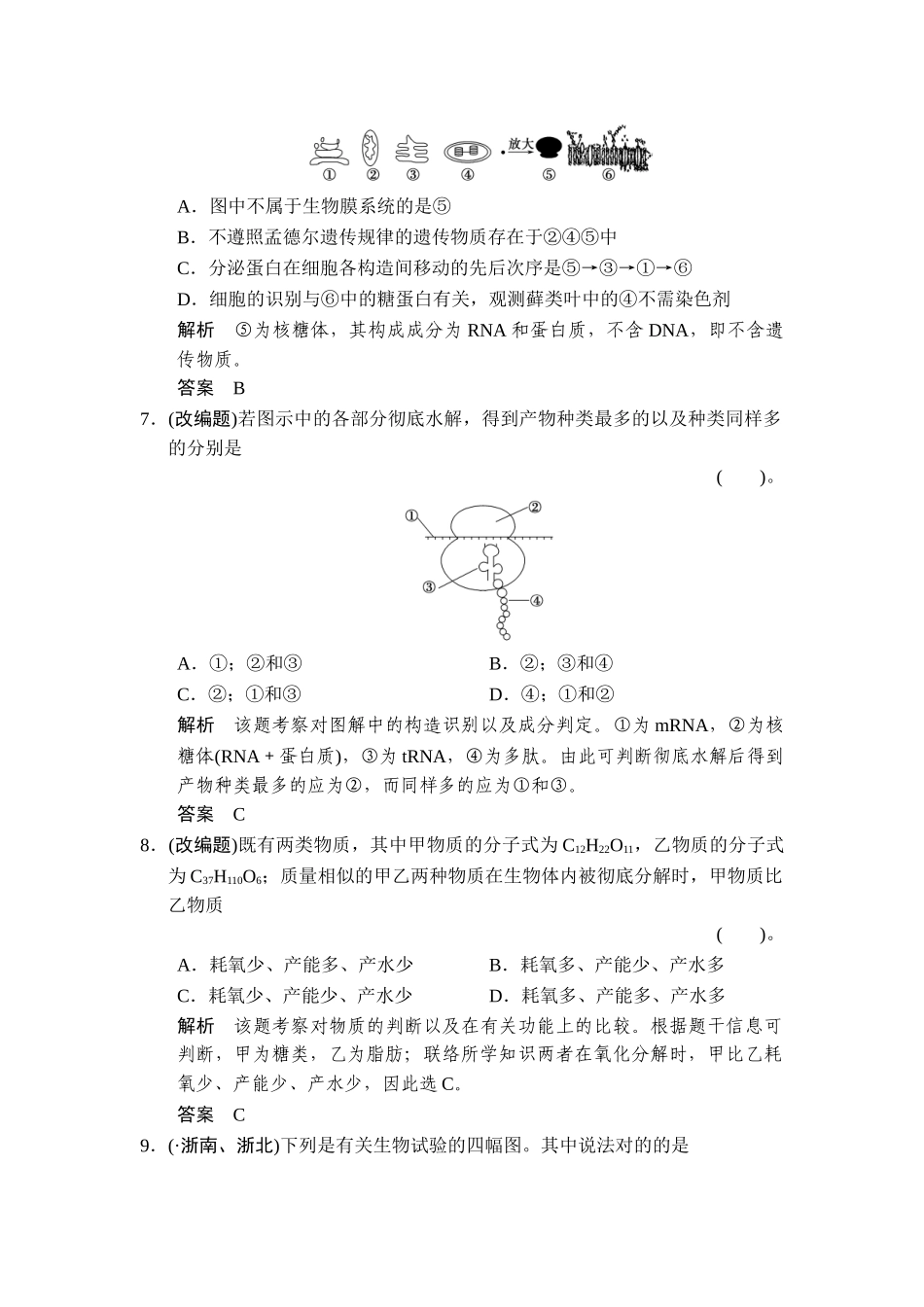 2025年高二生物上册知识点限时规范训练题_第3页