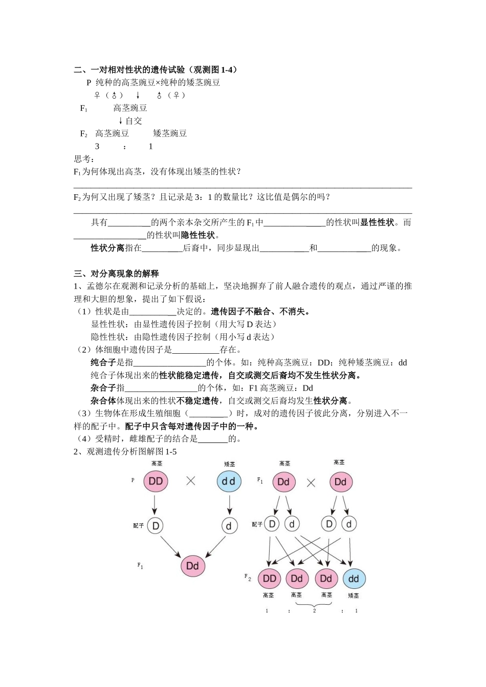 2025年高中生物必修二全套教案_第2页