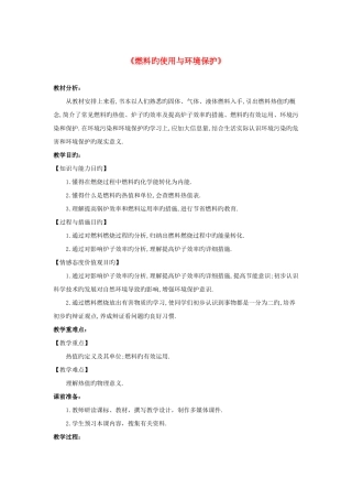 2025年九年级物理全册教案10.6燃料的使用与环境保护