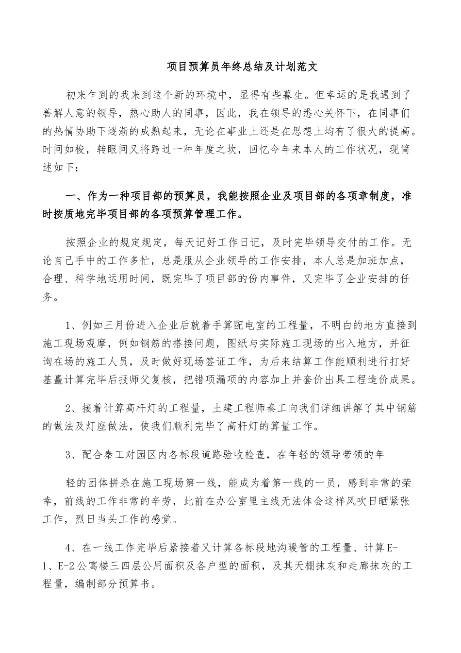 2025年项目预算员年终总结及计划范文_第1页