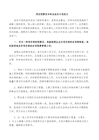 2025年项目预算员年终总结及计划范文