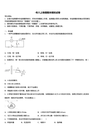 2025年安徽省铜陵市枞阳县物理八年级上册期末学业水平测试模拟试题含解析