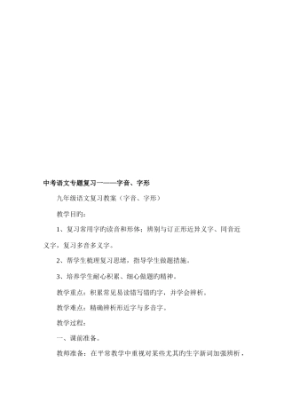 2025年中考语文专题复习全套