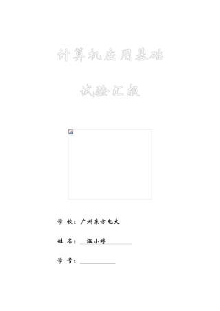 2025年东方电大工商管理专科计算机期末复习应用基础实验报告