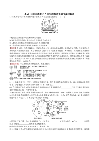 2025年高中生物近5年生物高考真题分类和解析神经调节
