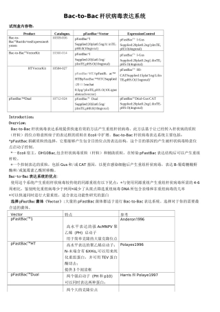 Bac-to-Bac杆状病毒表达系统