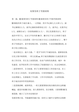 局领导班子考察材料