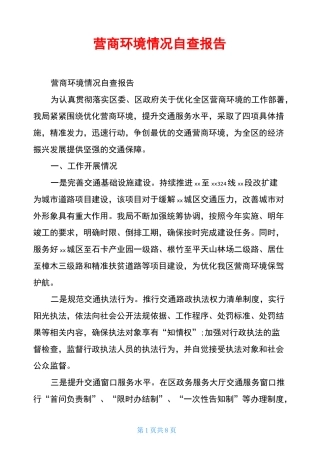 营商环境情况自查报告