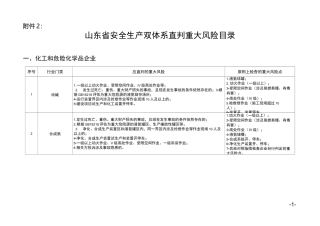 山东省双体系重大风险目录
