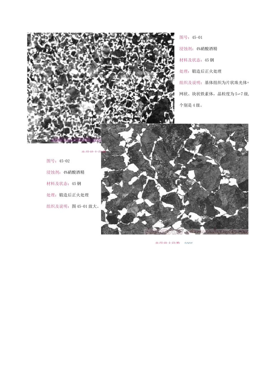 45钢显微组织_第2页