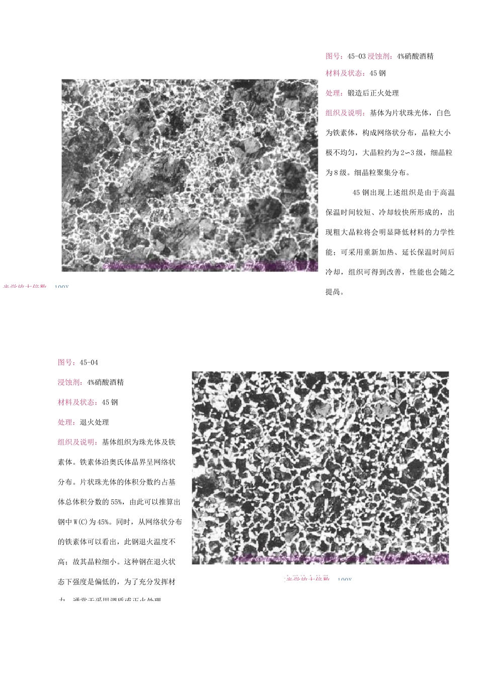 45钢显微组织_第3页