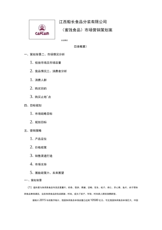 2休闲食品市场营销策划案1