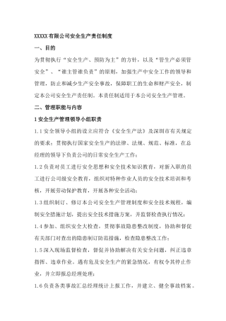 XXXXX有限公司安全生产责任制度