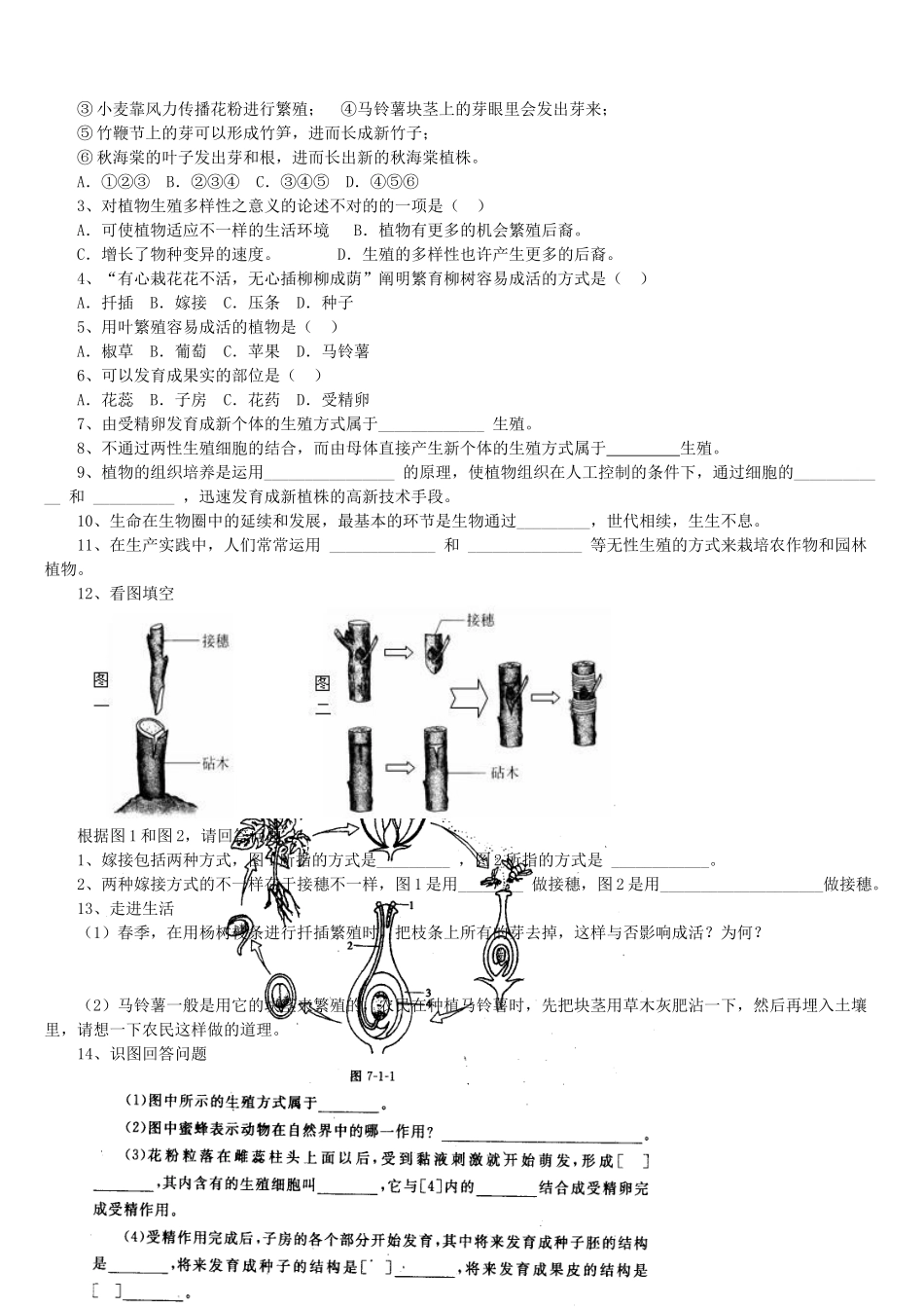 2025年八年级下册全册导学案B_第2页