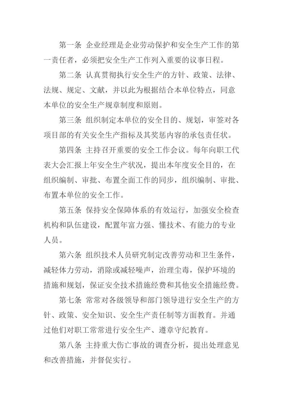 2025年安全生产责任制度全套齐全_第2页