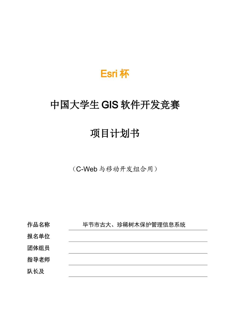 2025年大学生开发竞赛项目计划书_第1页