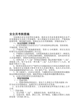 2025年安全检查员考核细则