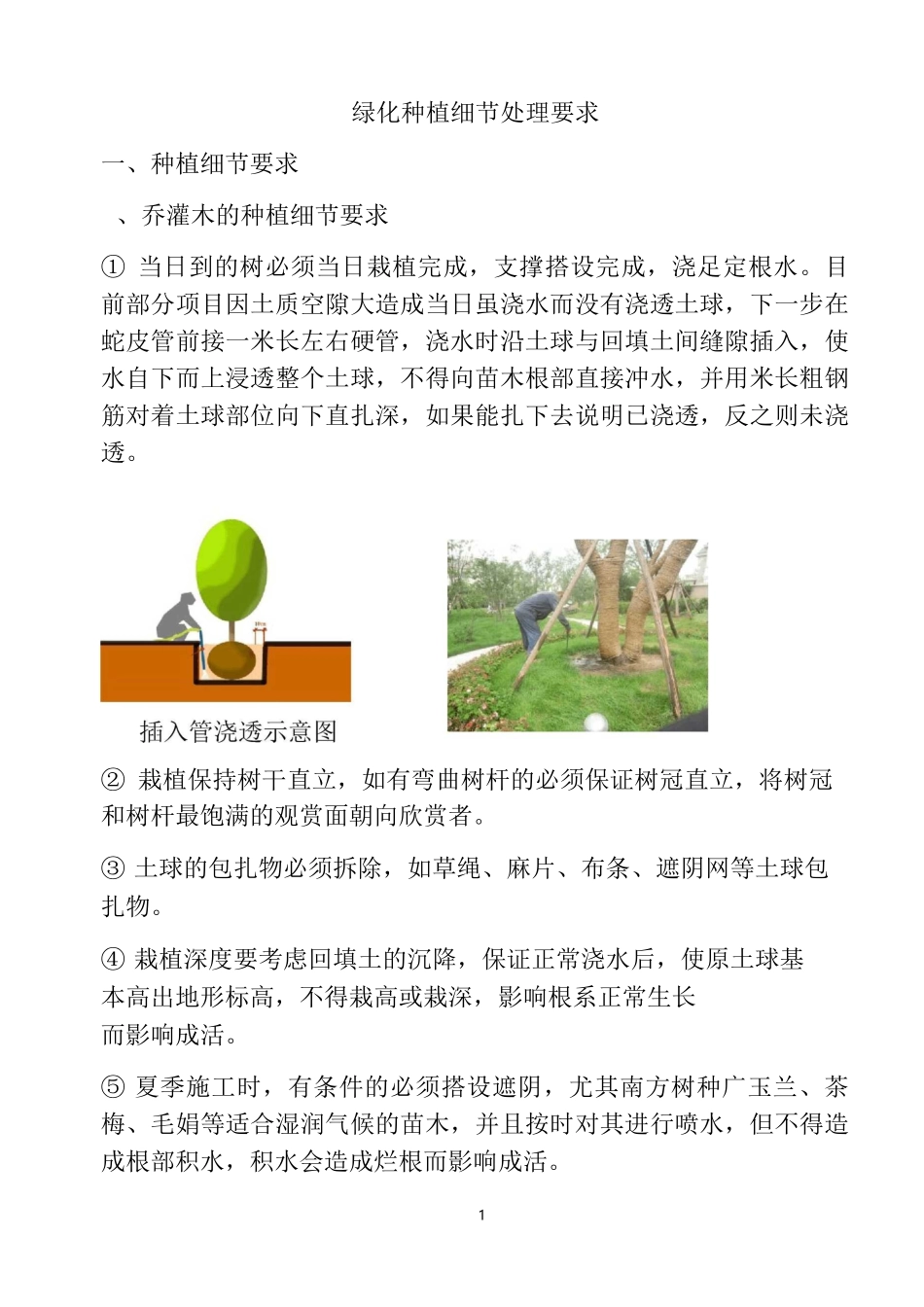 绿化种植细节处理要求_第1页