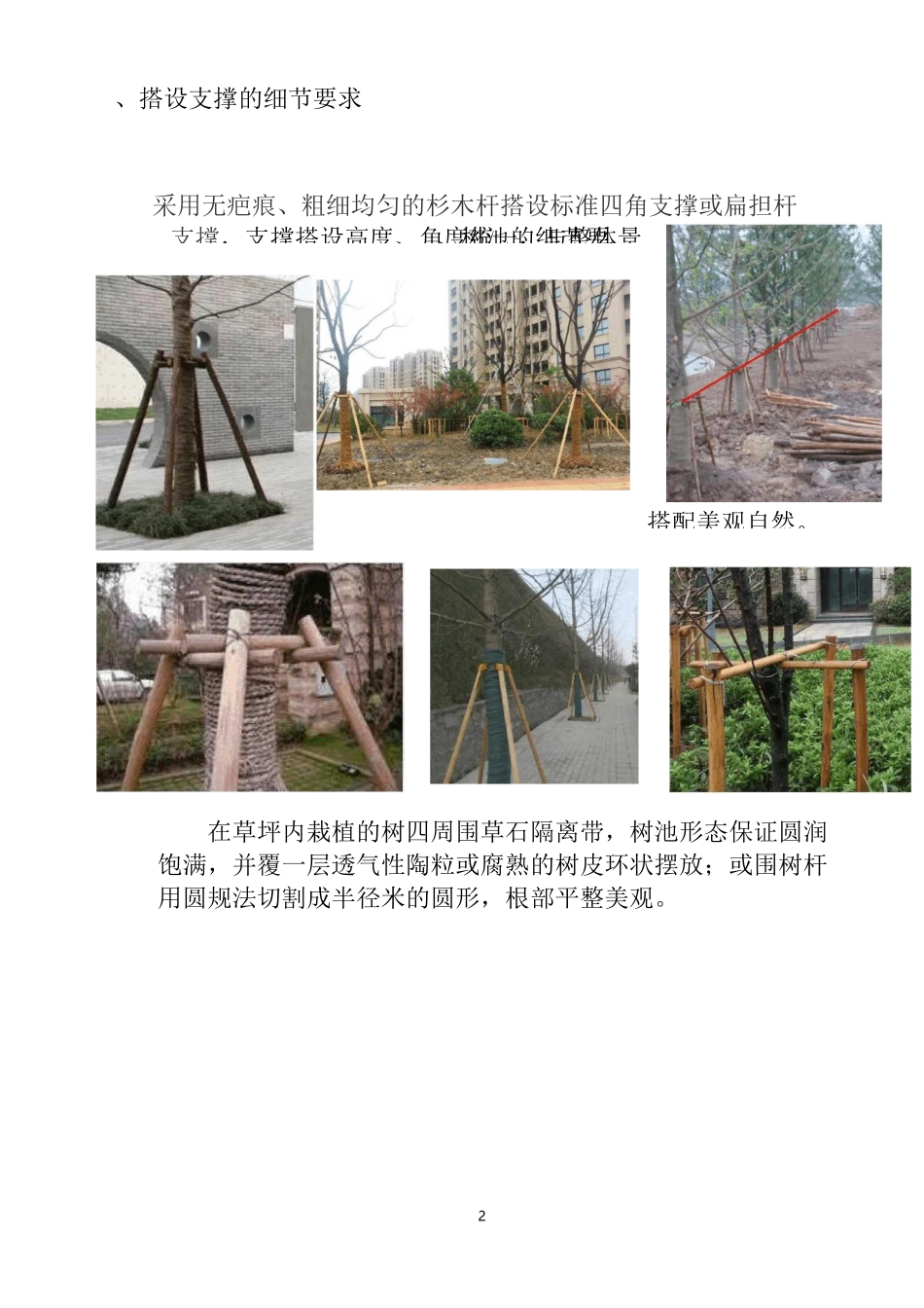 绿化种植细节处理要求_第2页