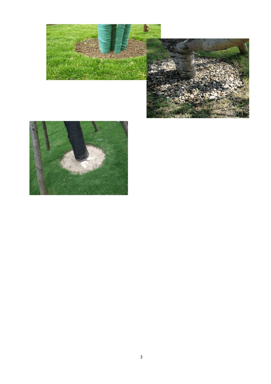 绿化种植细节处理要求_第3页