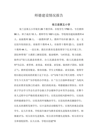 师德建设情况报告
