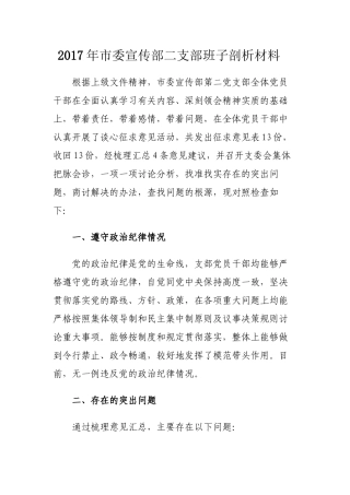 2017年党市委宣传部二支部班子剖析材料