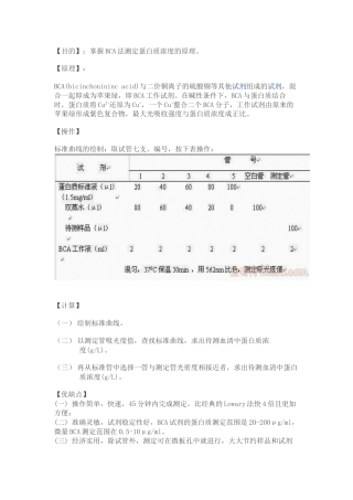 BCA法测蛋白浓度