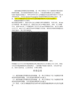 C2C12细胞的生长特性