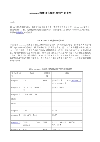 caspase家族及在细胞凋亡中的作用