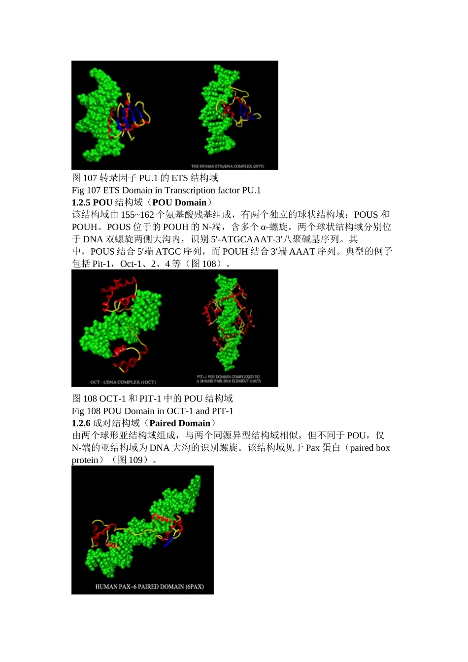 DNA与蛋白质相互作用的结构特征_第3页